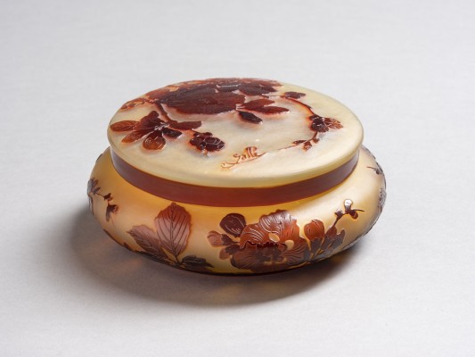 Bild DEKCELDOSE MIT APFELBLÜTEN