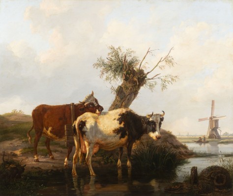 Bild Niederländische Landschaft mit Kühen
