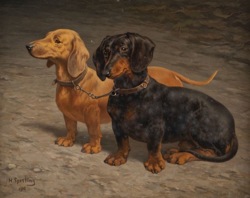 Auction <br>Zwei Dackel (1905)