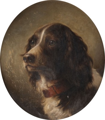 Auction <br>Portrait eines Hundes