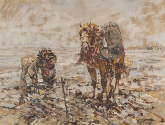 Auction <br>Krabbenfischer