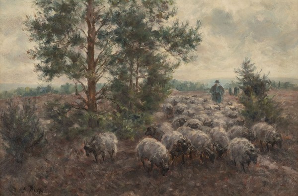 Auction <br>Schafherde auf dem Heimweg