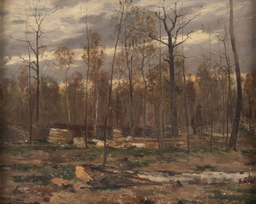 Auction <br>Herbstwald mit gefällten Bäumen