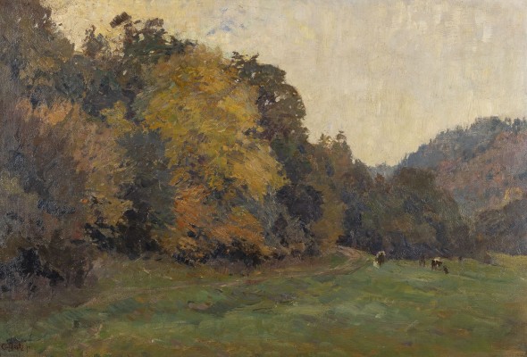 Auktion <br>Wiese am Waldrand