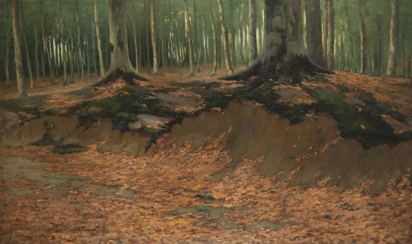 Bild Waldlandschaft