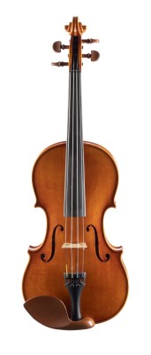 Auktion <br>VIOLINE TILL KULLA