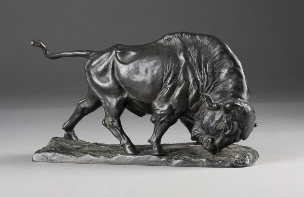 Picture BISON
