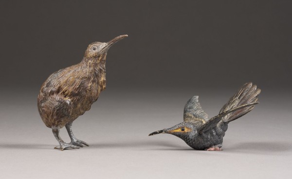 Picture KIWIVOGEL UND RIESENKOLIBRI