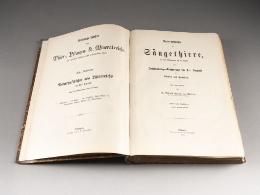 Auction <br>'NATURGESCHICHTE DES THIER-, PFLANZEN- UND MINERALREICHS IN COLORIRTEN BILDERN (...)'
