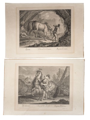 Bild 'CHEVAL DE CROATIE' / 'CHEVAL DE PERSE' / 'CHEVAL POLONAIS'
