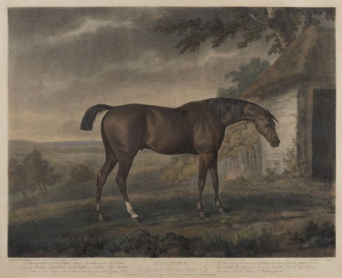 Bild 'SOLDIER - THE PROPERTY OF DENNIS OKELLY ESQUR.' (NACH GEORGE GARRARD - 1793)