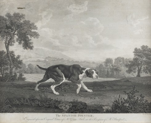 Auktion <br>'THE SPANISH POINTER' NACH GEORGE STUBBS (UM 1768)