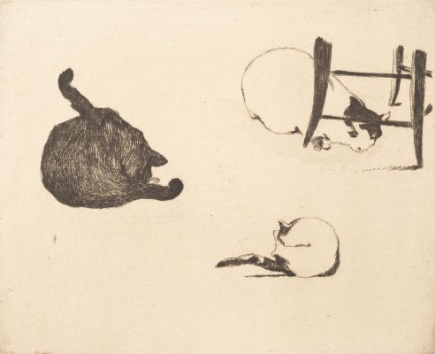 Bild 'TROIS CROQUIS DE CHATS SUR UNE PLANCHE' (1869/1905)