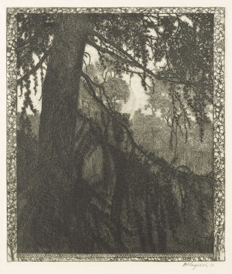 Bild 'DIE LÄRCHE' (1897)
