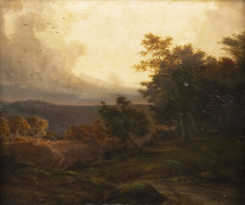 Auction <br>WALDLANDSCHAFT