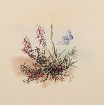 Auktion <br>KONVOLUT AUS SIEBEN BOTANISCHEN AQUARELLEN