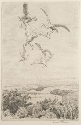 Picture 'WONNE DES FLIEGENS I' (1910)