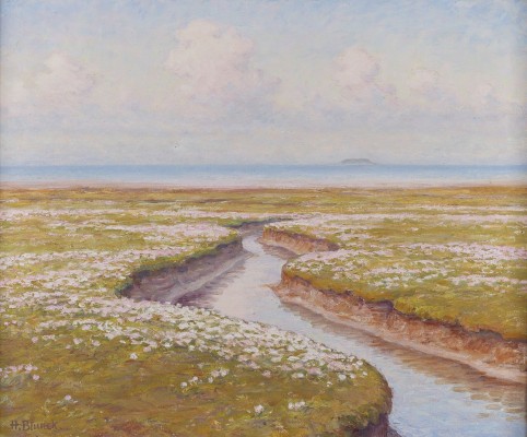 Auktion <br>'BLÜHENDE HALLIG'