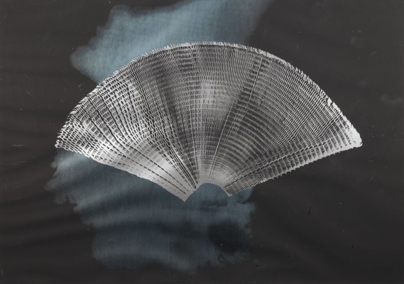 Picture 'FLÜGEL UND WOLKE' (1972)