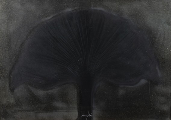 Picture FÄCHER (1995)
