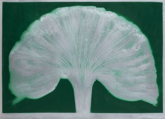 Picture FÄCHER (1996)
