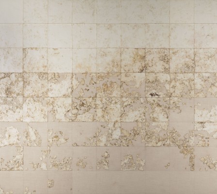 Bild 'PAPIER IN DER ERDE (0-65 TAGE)' (1979)