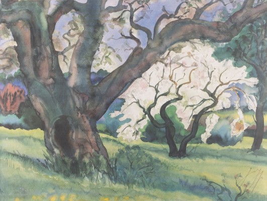 Auction <br>BAUMLANDSCHAFT