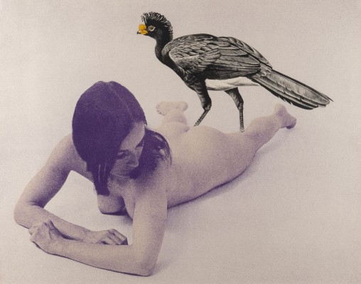 Bild 'CURRASOW' (1969)