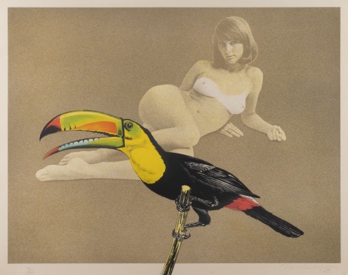 Bild 'TOUCAN BETTER THAN ONE' (1969)