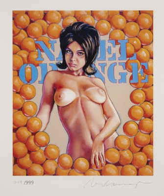 Picture 'NAVEL ORANGE' (2013)