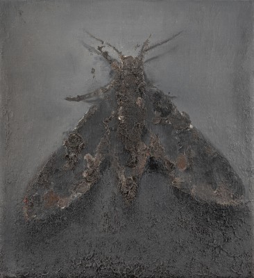 Picture 'MOTTE' (2014)