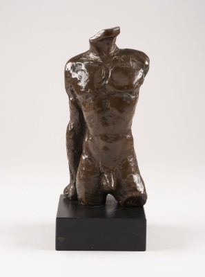 Bild MÄNNLICHER TORSO (1986)