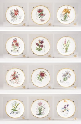 Auktion <br>12 SAMMELTELLER 'LAS FLORES DALINIANAS'