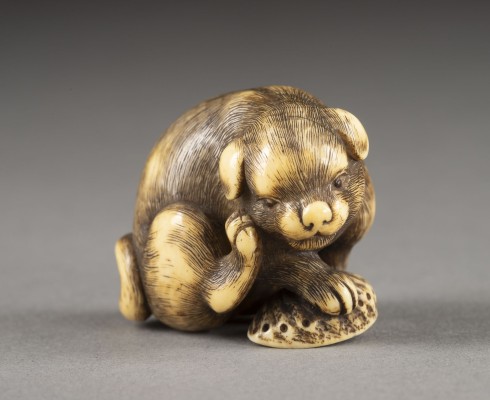 Auktion <br>EIN FEINES GESCHNITZTES NETSUKE EINES HÜNDCHENS AUS ELFENBEIN