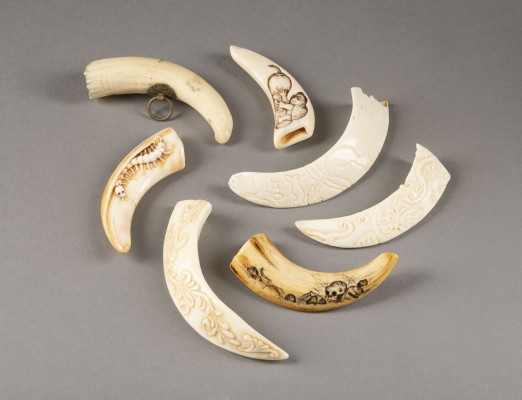 Bild SIEBEN GESCHNITZTE NETSUKE AUS ZAHN