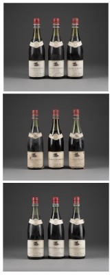 Auction 137<br>BURGUND, 9 FLASCHEN