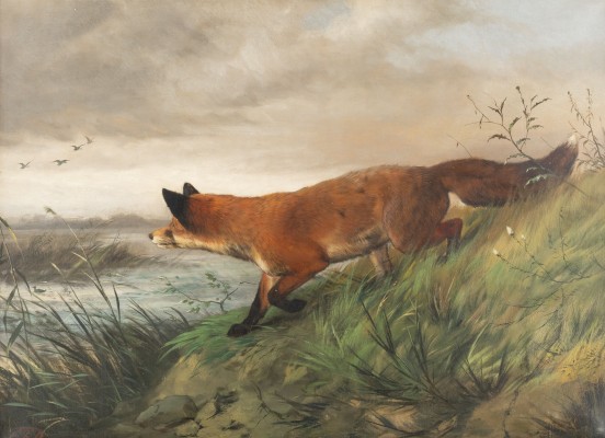 Auction 137<br>FUCHS AUF ENTENJAGD