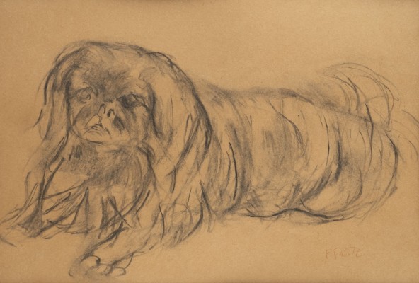 Bild LIEGENDER PEKINESE