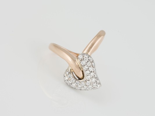 Bild RING