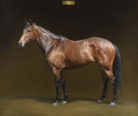 Auktion 141<br>PFERD 'SUAVE' (2009)