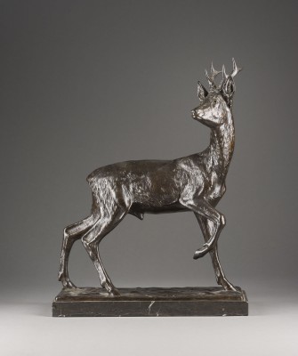 Auction 141<br>REHBOCK