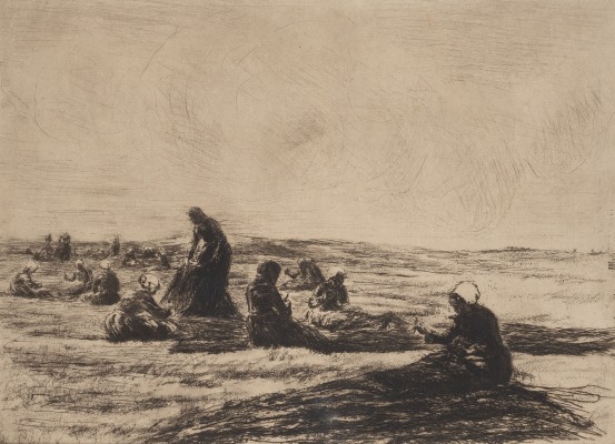 Picture NETZFLICKERINNEN (1894)