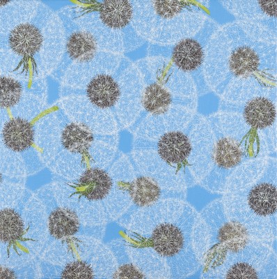 Auction 144<br>'PUSTEBLUMEN, NR. 58' (2004)