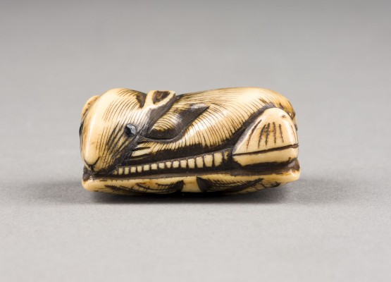 Auktion 143<br>EIN GESCHNITZTES NETSUKE VON RATTE AUS HIRSCHHORN