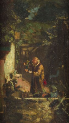 Auktion 146<br>DER KAKTEENFREUND
