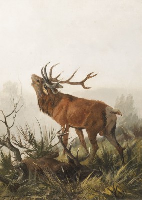 Auction 146<br>RÖHRENDER HIRSCH