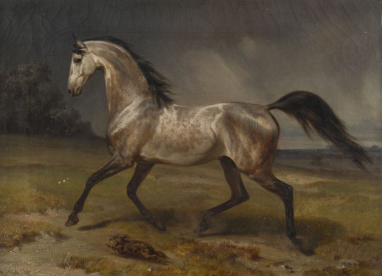 Auction 146<br>LAUFENDER SCHIMMEL IN DER LANDSCHAFT