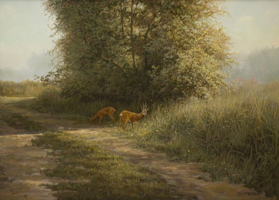 Auction 146<br>REHE AM WEGESRAND