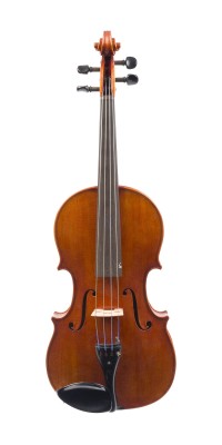 Auktion 146<br>VIOLA 'RUDOLF BUCHNER'