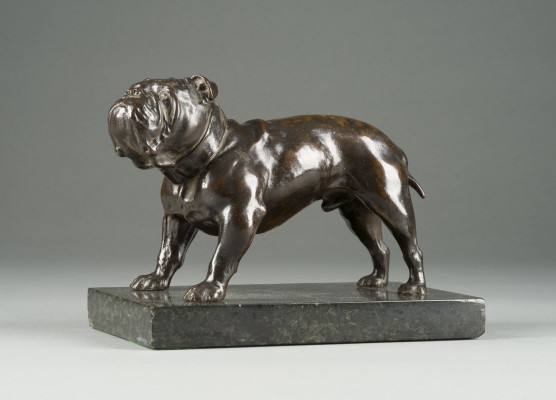 Picture STEHENDE BULLDOGGE (CHAMPION 'SMARTT'S PUNCH')